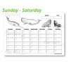 FREE Printable Blank Monthly Calendar (Sunday-Saturday): Sea Mammals