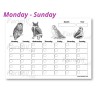 FREE Printable Blank Monthly Calendar (Monday-Sunday): Owls
