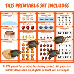 Counting Practice: Printable Activity Worksheets for Kids Ages 3-5