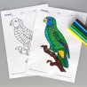 FREE Printable Coloring Page: Parrot