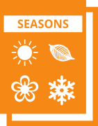 Seasons