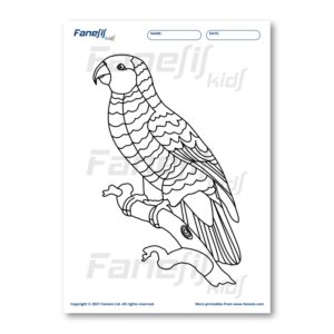 FREE Printable Coloring Page: Parrot
