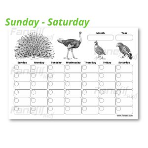 free printable blank monthly calendar (sunday saturday): birds