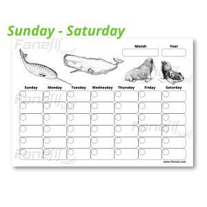 free printable blank monthly calendar (sunday saturday): sea mammals