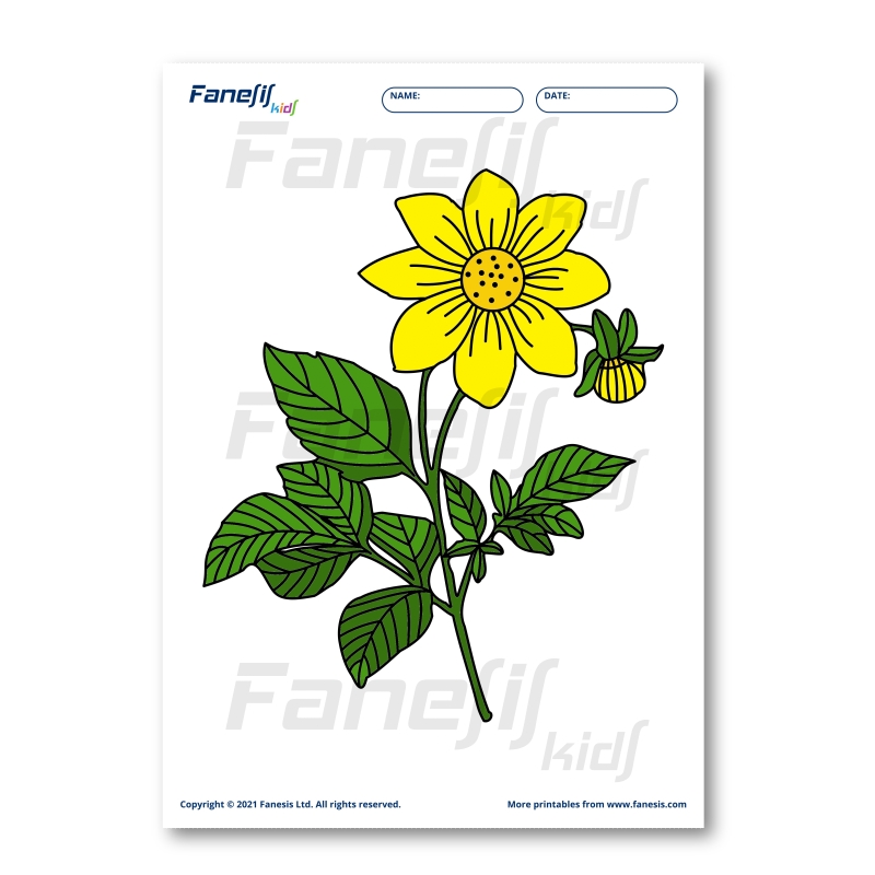 free printable coloring page: flower
