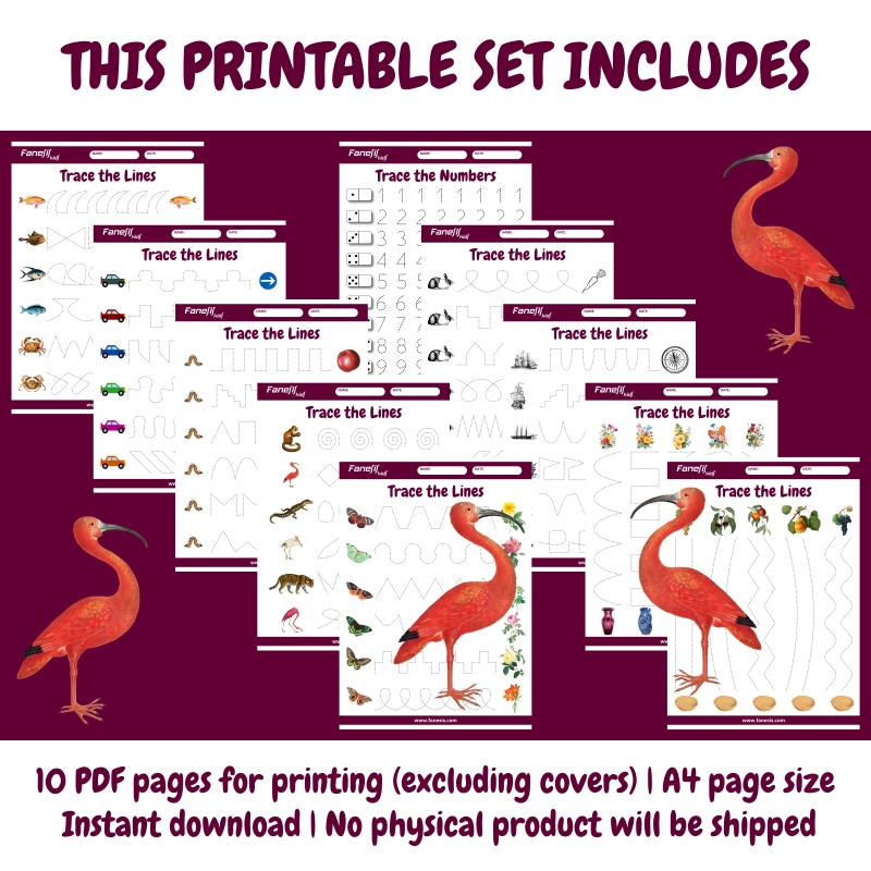 line tracing: free printable activity worksheets for kids ages 3 5 line tracing: free printable activity worksheets for kids ages 3 5