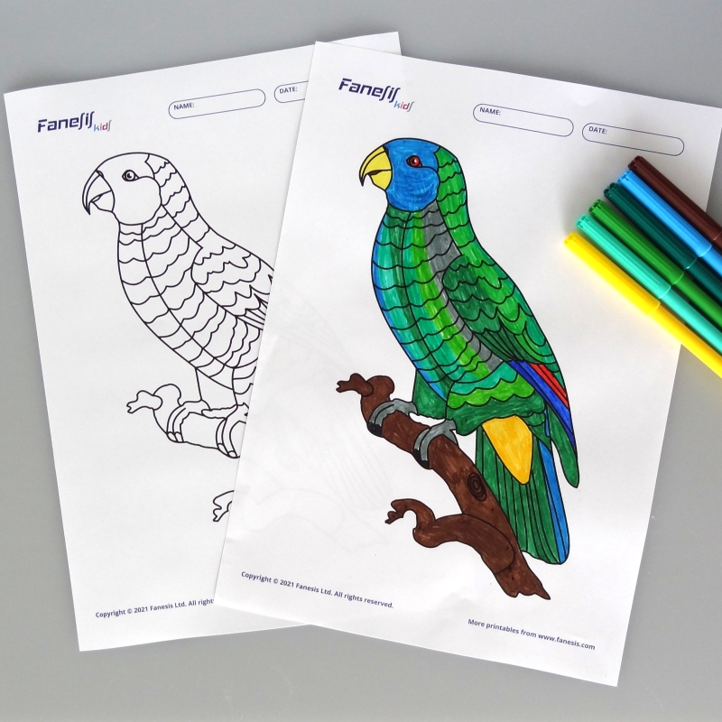 free coloring
