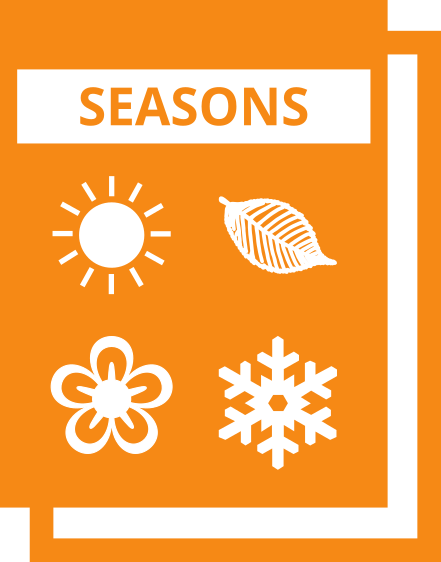 seasons cat